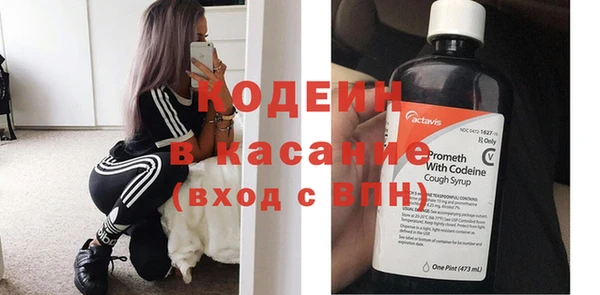 индика Арсеньев
