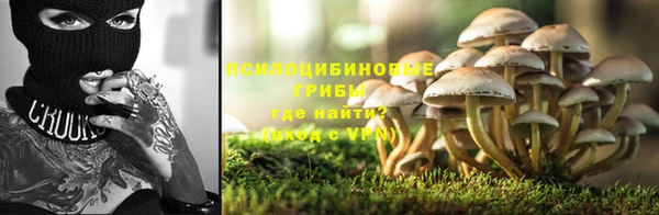 эйфоретик Анива