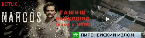 индика Арсеньев