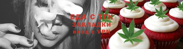 индика Арсеньев