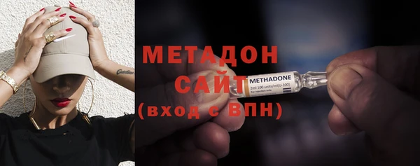 индика Арсеньев