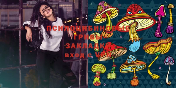 индика Арсеньев