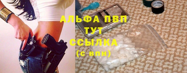 индика Арсеньев