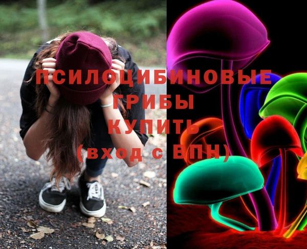 стафф Алзамай