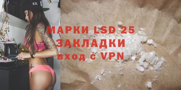 индика Арсеньев