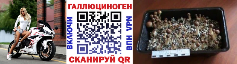 Галлюциногенные грибы Cubensis  магазин    OMG вход  Бикин 